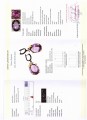 Künstlerische Ohrringe Amethyste Saphire Zertifikat 3