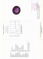 Naturstein Amethyst 69,04 ct zertifiziert