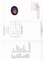 Natürlicher Amethyststein 67,46 ct zertifiziert
