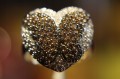 Ring Gold Diamanten Größe 14,5 Schmetterling Zertifikat