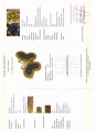 Ring Gold Diamanten Größe 14 Schmetterling Zertifikat