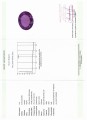 Naturstein Amethyst 68,09 ct zertifiziert