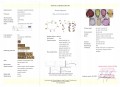 Gold Set 14 Karat 3 Teile Natursteine ​​zertifiziert