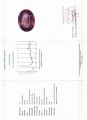 Natürlicher Amethyststein 30,23 ct zertifiziert