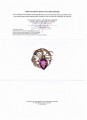 Brosche Natur 31,10 ct Amethyst Spinne Zertifiziert