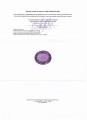 Naturstein Amethyst 47,75 ct zertifiziert