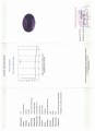 Amethyst Naturstein 33,48 ct zertifiziert