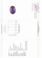 Naturstein Amethyst 32,76 ct zertifiziert