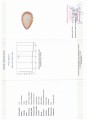 Natürlicher Citrinestein 85,99 ct zertifiziert