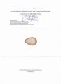 Natürlicher Citrinestein 85,99 ct zertifiziert