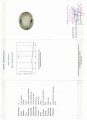 Naturstein Prasiolith 49,81 ct zertifiziert