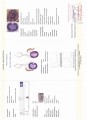 Rhodolith Amethyst Ohrringe 44ct Zertifikat