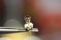Einzelner Ohrring aus 585 Gold mit natürlichen Diamanten