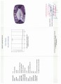 Natürlicher Amethyst-Stein VVS 34,25 ct