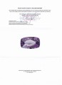 Natürlicher Amethyst-Stein VVS 34,25 ct