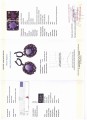 925 Ohrringe 38ct Amethyste Rhodolith Zertifikat