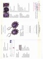 925 Ohrringe 34ct Amethyste Rhodolith Zertifikat 2