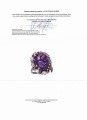 Ring 43,50 ct Amethyste Größe 19 zertifiziert