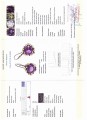 Ohrringe 49ct Amethyste Topas Zertifikat