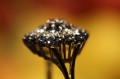 Goldring Saphire Diamanten Größe 17 zertifiziert