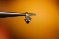 Diamant Anhänger aus Gold natürlichen Zertifikat