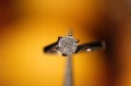 Ring Gold Diamant 0,50 ct zertifiziert