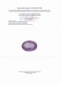 Ametrin 13,17 Karat zertifizierter Naturstein