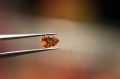 Saphire Natursteine ​​3.60ct 11Stk