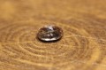Rauchtopas Naturstein 2.20ct