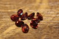 Granate Natursteine ​​4,20 ct 9 Stk