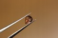 Saphire Natursteine ​​6,60 ct 21 Stk