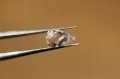 Topas weiße Natursteine ​​7.0ct 6 Stk
