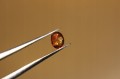 Saphire Natursteine ​​6.00ct 26 Stk
