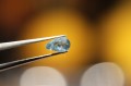 Apatite Natursteine ​​7,55ct 19 Stk