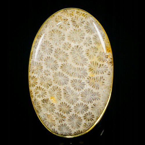 Fossiler Ring aus Sterlingsilber mit Koralle Größe 16