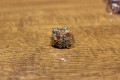 Songea Padparaja Saphir Ring mit Zirkonia Größe 17