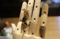 Ring sapphires, olivine, silver 925, dragon, size 16.5