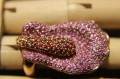 Songea Saphir Ring Silber 925 Größe 14