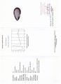 Amethyst Naturstein IF 52,16ct riesig