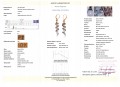 Goldohrringe 10k Diamanten Topas Zertifikat