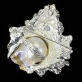 Brosche Anhänger natürliche barocke Perl Muschel