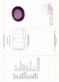 Amethyst Naturstein 53,48 ct zertifiziert