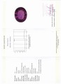 Naturstein Amethyst 73,91 ct zertifiziert