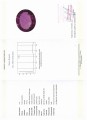 Amethyst Naturstein 74,47 ct zertifiziert