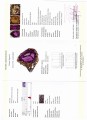 Natürlicher Amethyst Ring 33,95 ct Größe 16,5 zertifiziert