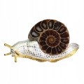 Silber Schnecke Brosche fossiler natürlicher Ammonit